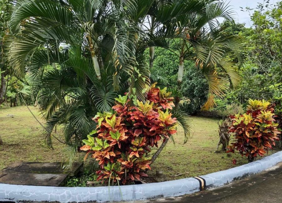 237sqm. Corner Residential Lot for Sale Calumpang Lejos Indang Cavite