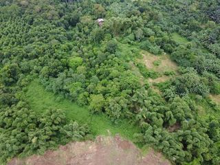 10.1 Hectares Agricultural Lot for Sale in Alaminos, Laguna