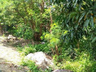 For Rent Lease at Noveleta Cavite near Kawit Lot Ideal for Commercial Use