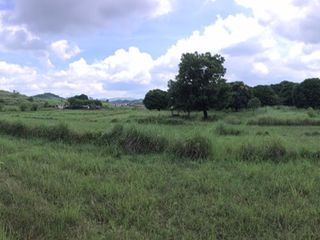 26,194 sqm Agricultural Lot For Sale in Barangay Pinugay, Baras Rizal
