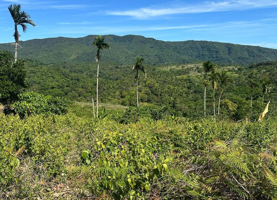 FARM LOT IN TANAY RIZAL