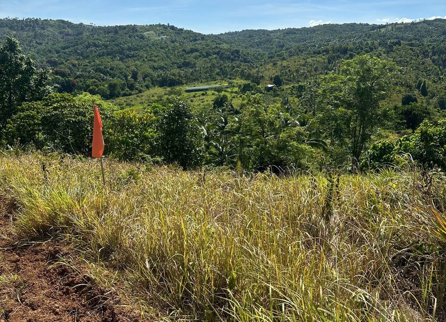 FARM LOT IN TANAY RIZAL