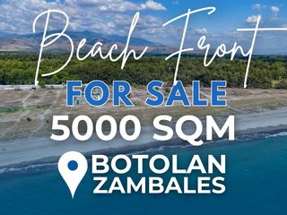 5,000 SQM Beachfront Paradise in Botolan For Sale!