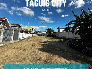 Wawa, Taguig Vacant Lot