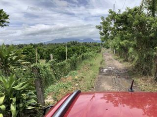 6.5 Hectares Farm with Income For Sale in Tagbakin, Tiaong, Quezon