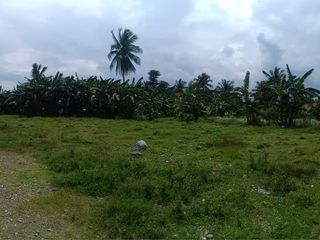 Lot for Sale in Gloria, Oriental Mindoro 2,914 SQM  | with View of Sibali Island