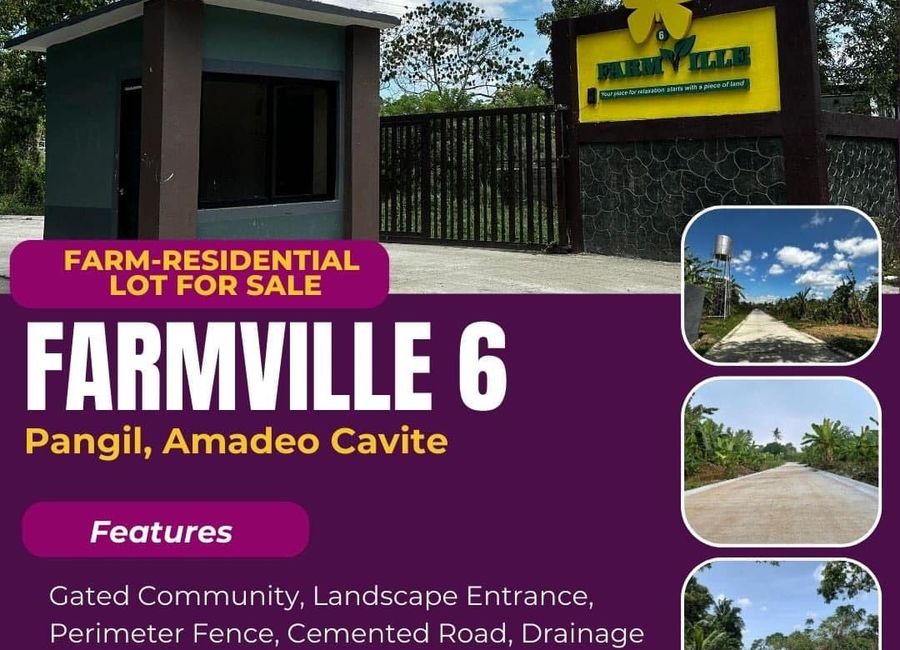 Farm Lot For Sale: Farmville 6, Pangil, Amadeo near Tagaytay City