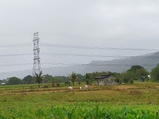 Affordable Titled Residential Lot
