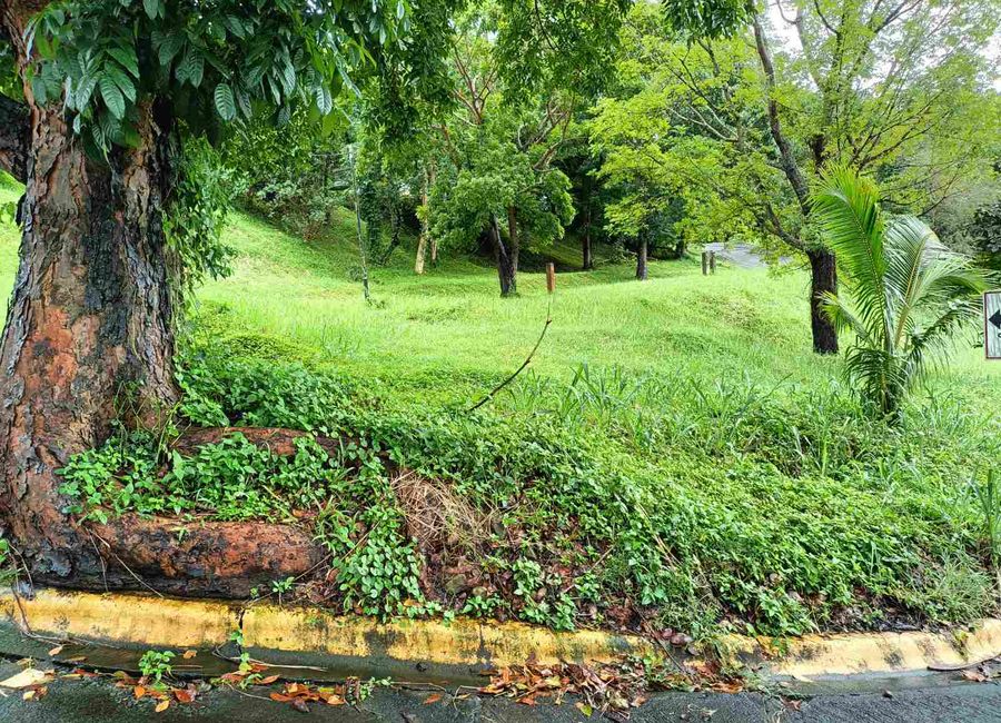 370 sqms Corner Lot, Canyon Woods Residential Resort at Laurel City, Batangas