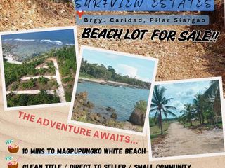 Beach Lot - Siargao Surfview Estate