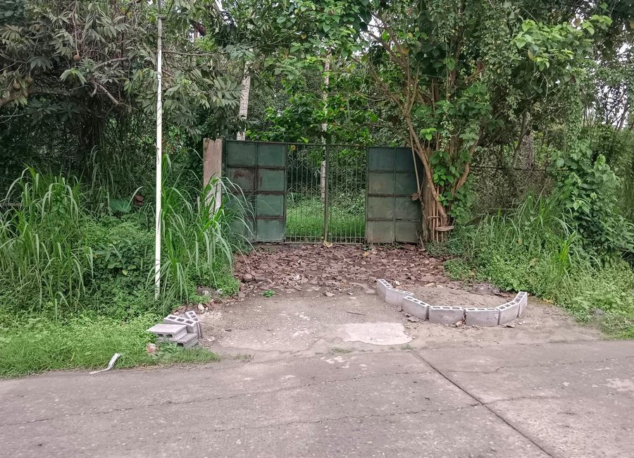 Titled 6,412 sqm Farm Lot Near Hacienda Isabela Indang Cavite for Sale