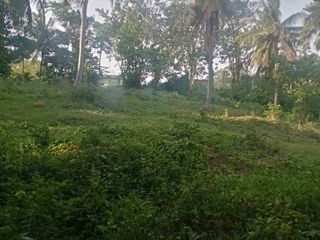 Farm lot for sale good for housing, warehouse and industrial, Tanauan
