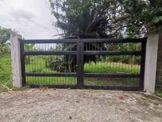 Farm lot Overlooking taal volcano for sale at Tanauan, Batangas