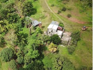 Tanay FARM with Fruit bearing trees Size Lot 3.6 Hectares