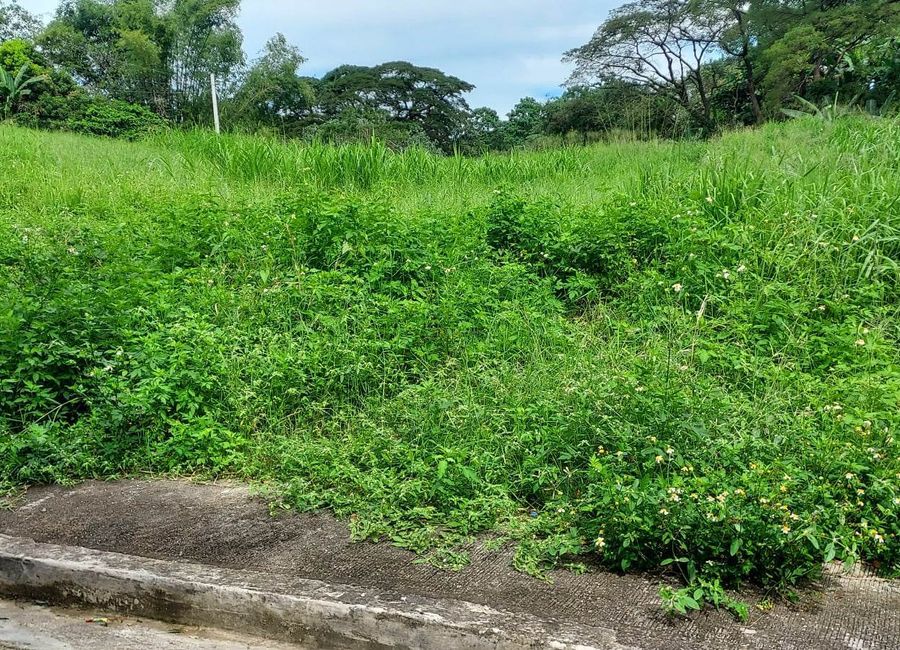 Lot For Sale at Village East Binangonan