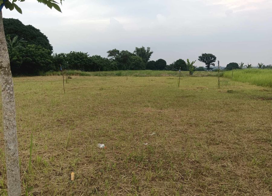 For Sale: 100 sqm Lot in Silang, Cavite near Tagaytay City
