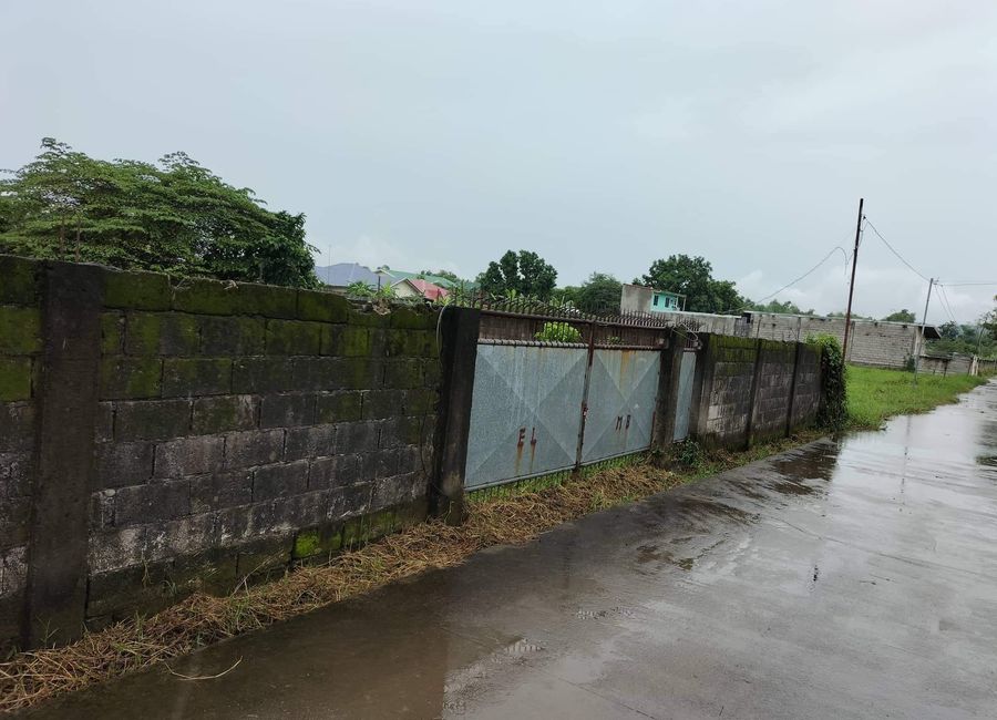 1000 Sqm Farm Lot Fully Fenced Along Road For Sale San Agustin Magalang Pampanga