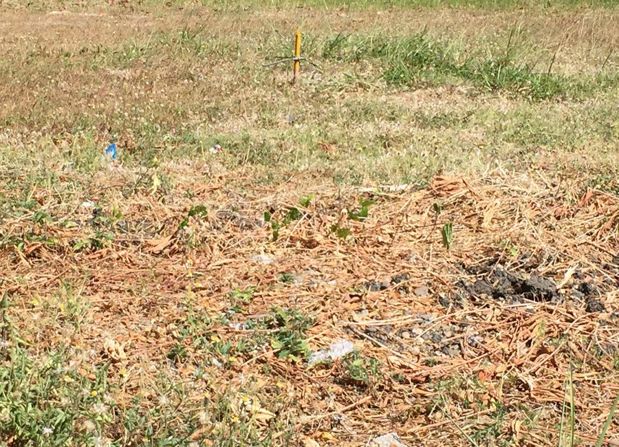 Below Market Residential Lot for Sale in Verdana Homes, Bacoor