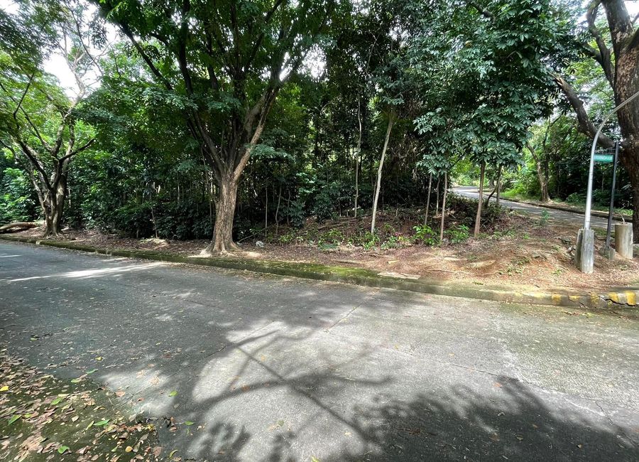 Vacant Lot with view for sale in Town and Country Estate Antipolo