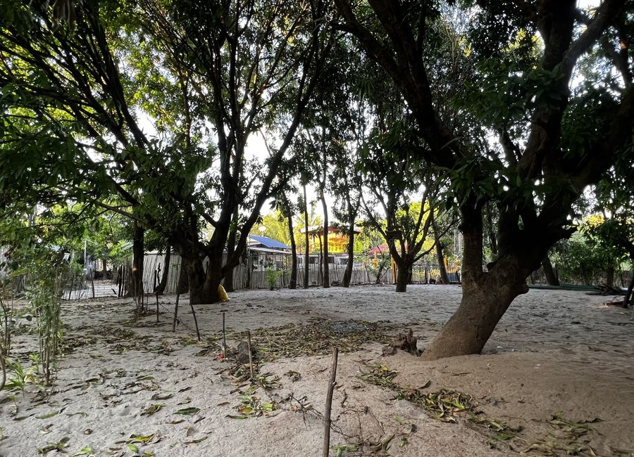 Budget Beach Farm Lot in Pundaquit, San Antonio, Zambales