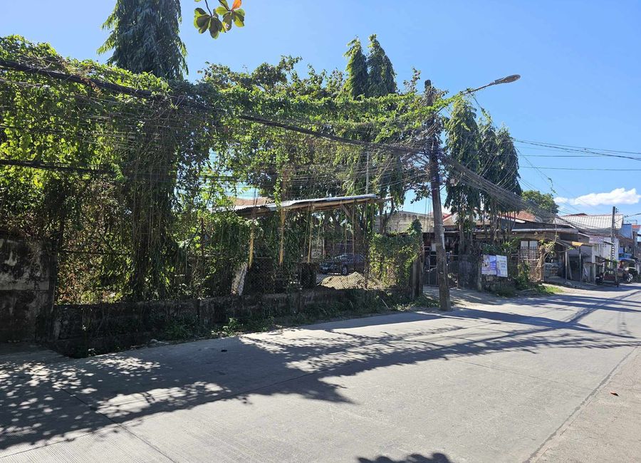 Commercial Lot in Onate De Leon Mandurriao, Iloilo for Sale Near Public Market