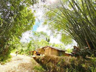FARMLAND at Guihean, Impasug-ong, Bukidnon