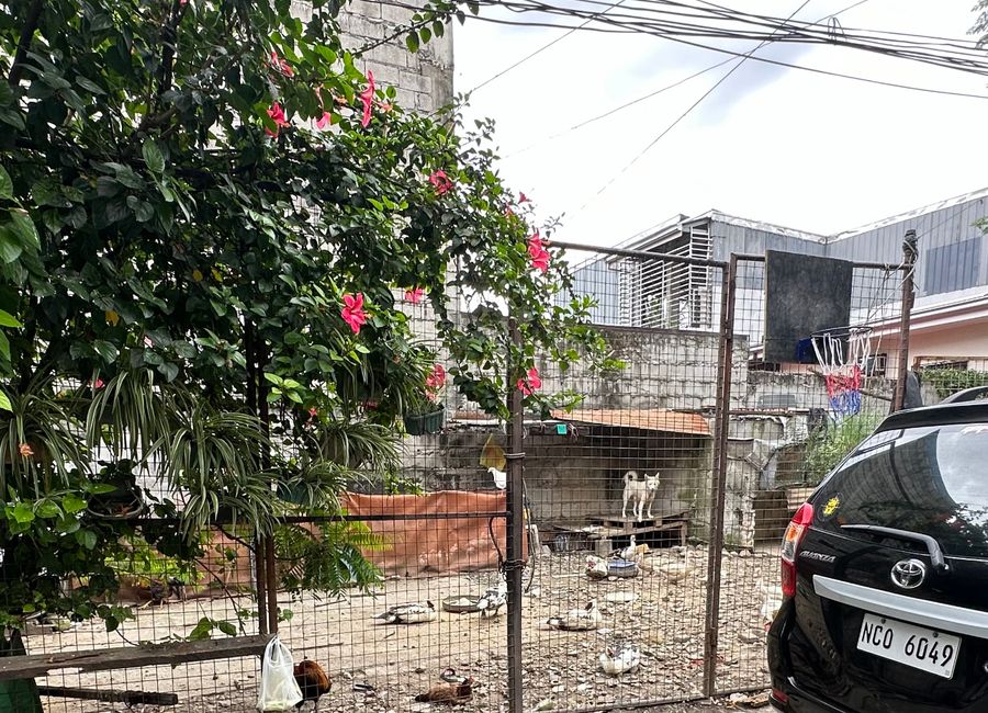 lot For sale 4114 A Feliciano St Ugong Valenzuela