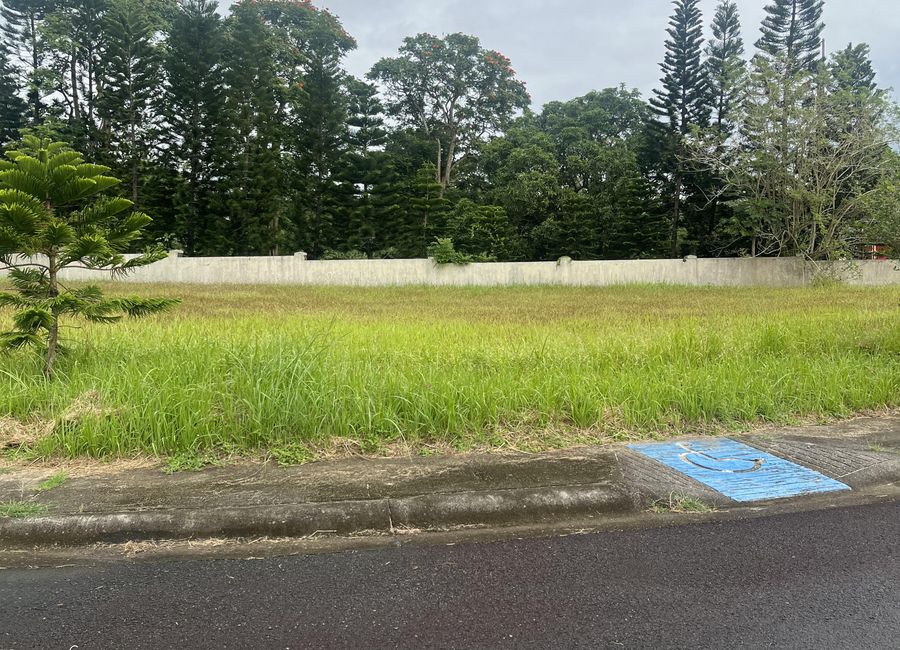 Residential Lot for Sale in The Verandas Saratoga Hills, Tagaytay Highlands