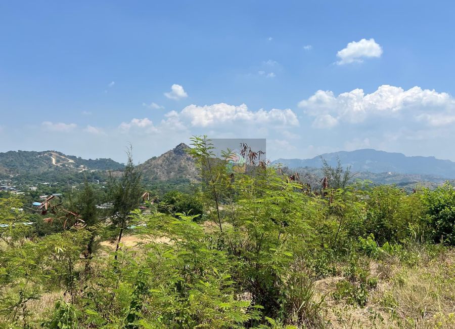 Lot for SALE Alta Vista Subdivision, Baloy, Barretto, Subic, Zambales