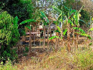 For Sale! Farmland in Bacnotan, La Union: Ideal for a Farm Resort