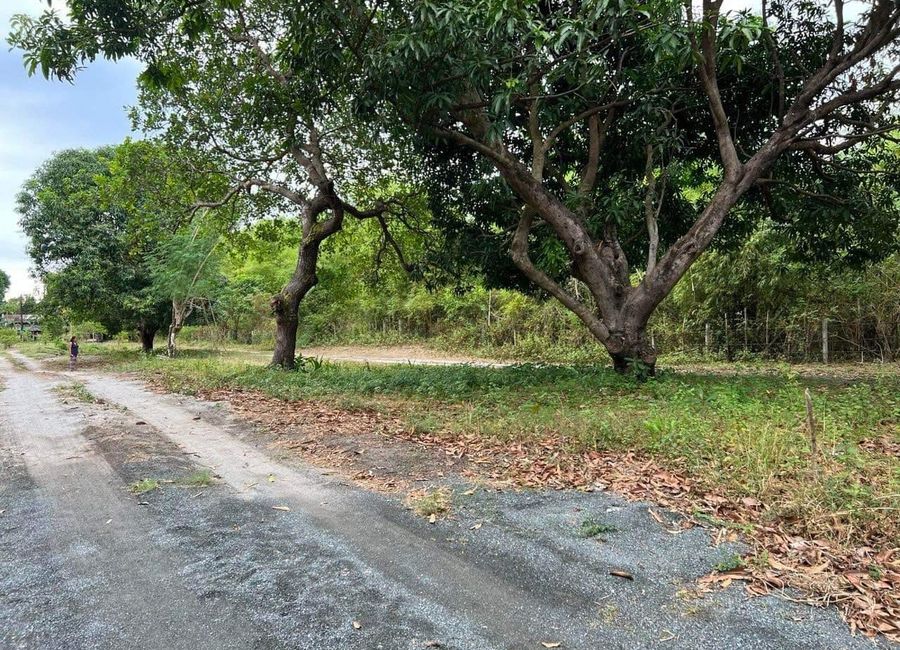 Residential Farm Lot in Pundaquit, San Antonio, Zambales