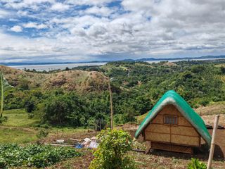 Residential Farm Lot in Pilillia