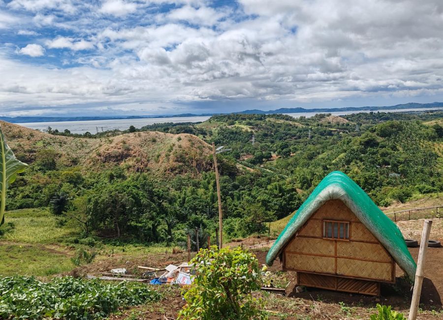 Residential Farm Lot in Pilillia
