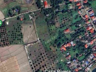 Farm Lot for Sale with Fruit-Bearing Trees