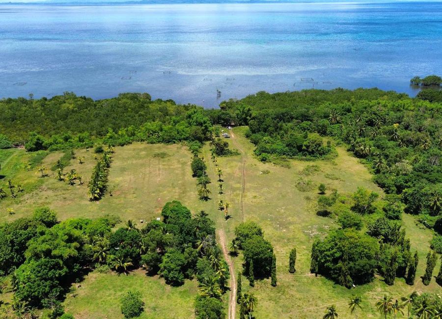 100sqm Residential lot near the beach in Daanbantayan, Cebu