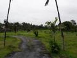 3,400 sqm Agricultural Lot For Sale in Santo Tomas, Calauan, Laguna