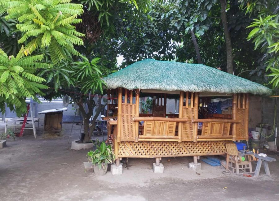 Residential Lot 1,000 sqm in San Nicolas Phase 1 Cutud Magalang, Pampanga