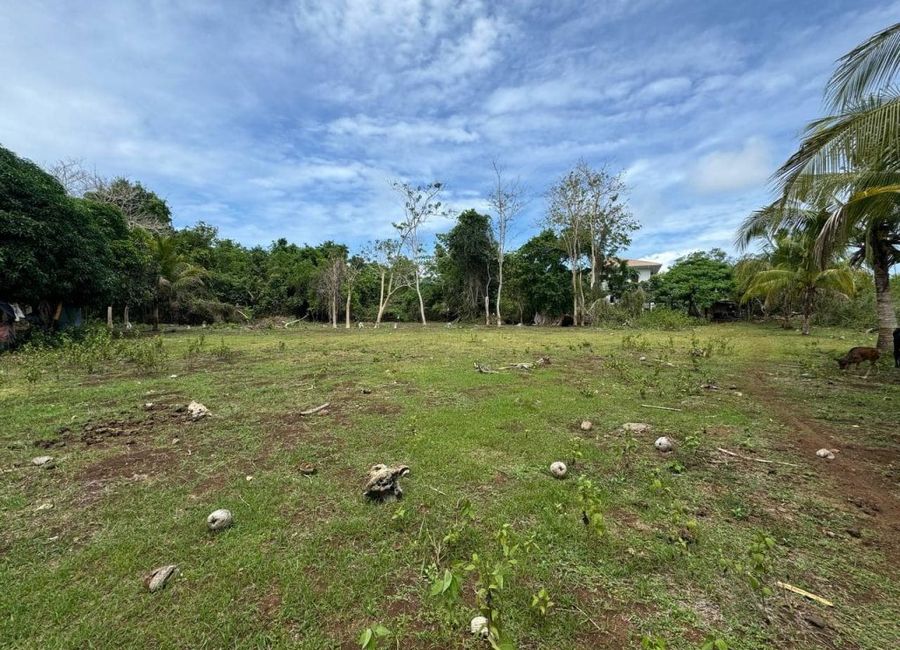 SUBDIVIDED LAND FOR SALE @ SAN ISIDRO DAUIS BOHOL