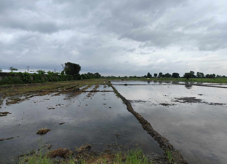 Corazon De Jesus Farm Lot 29,468 sqm, clean title in Concepcion, Tarlac for Sale