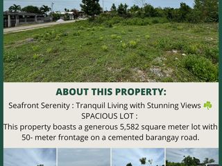 LOT FOR SALE - SEAFRONT SERENITY TRANQUIL LIVING WITH STUNNING VIEWS - From 22M to 15,071,400 Pesos Only