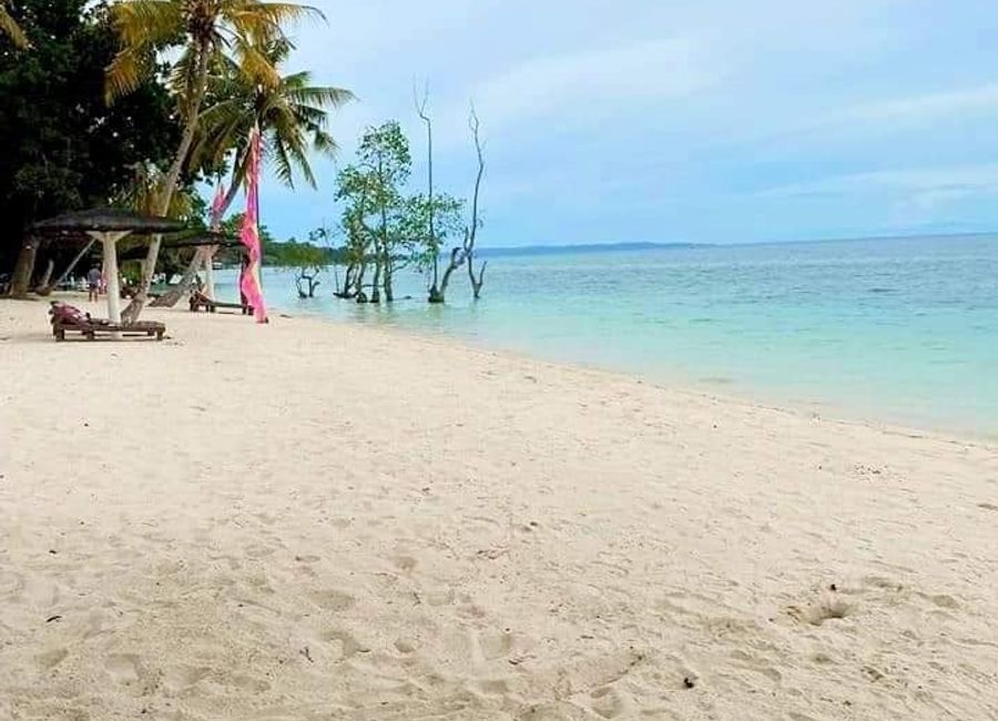 230sqm Playa Azalea, Island of garden Samal, Samal Residential Lot for sale