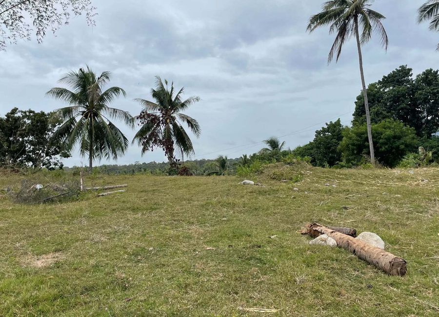 For Sale: Ocean View Lot in Dauin, Negros Oriental ID 14985