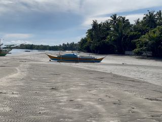 1,600 Sqm Lot For Sale in Tangalan, Aklan - Only 2,500 per Sqm