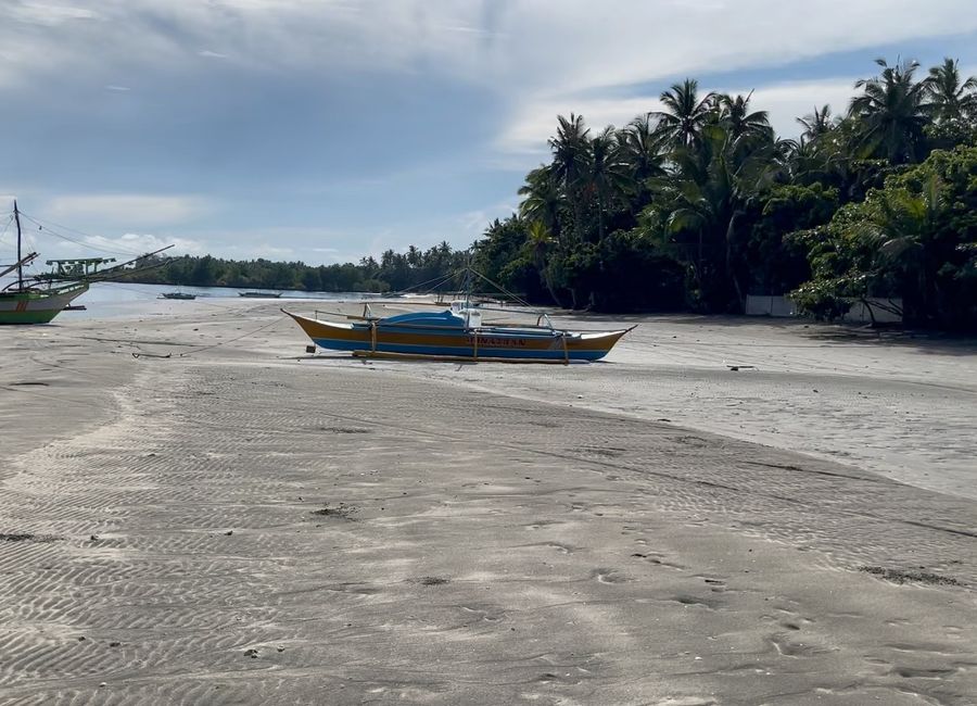 1,600 Sqm Lot For Sale in Tangalan, Aklan - Only 2,500 per Sqm