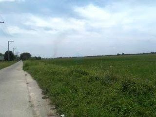 Banaba, Tarlac 5 Hectare Riceland For Sale