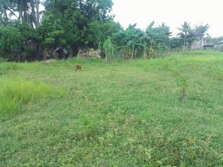 16.7-Hectare Vacant Lot in Pulilan, Bulacan for Sale