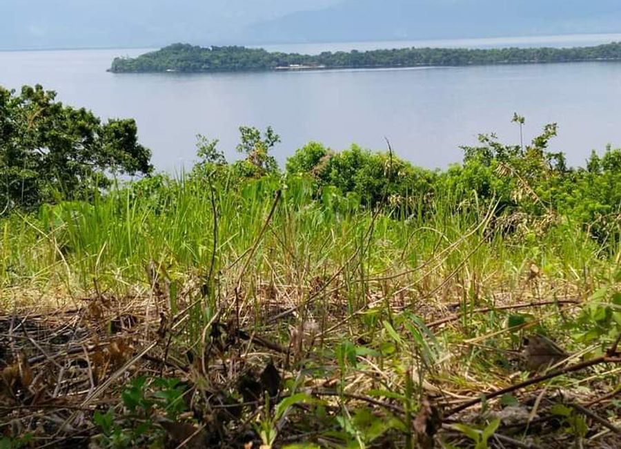 For Sale Overlooking Lot in Island of garden Samal, Samal, Davao del Norte