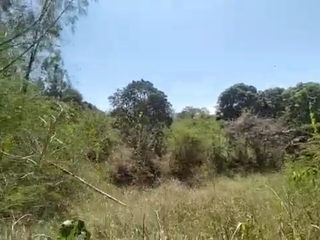 Vacant Lot for Sale Best for Housing development