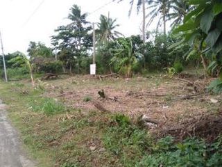Agricultural Lot for sale at San Rafael Bulacan
