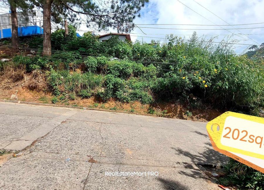 dominguez subdivision, san luis lot for sale